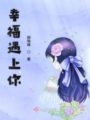歌曲幸福就是遇见你