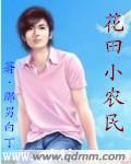小农民闯花都
