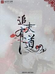 追夫之路