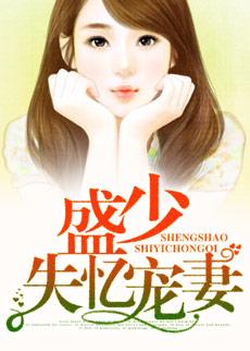 盛少宠妻100